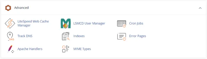 cPanel advanced section