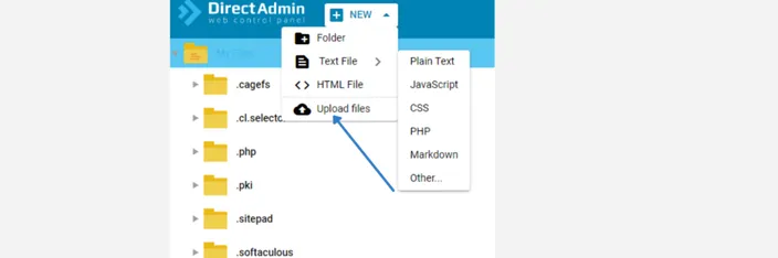 DirectAdmin File Manager New menu with Upload files highlighted