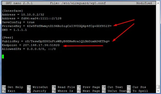 terminal output