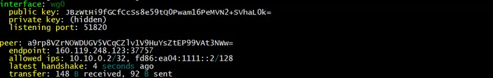 Debian WireGuard server interface status