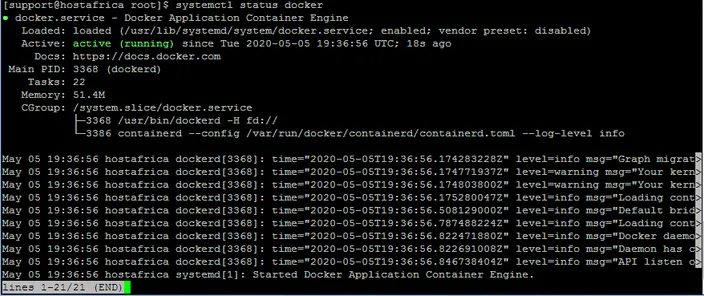 terminal output