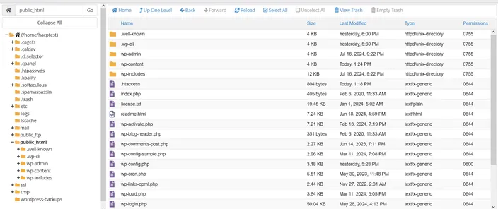 Public HTML folder in cPanel