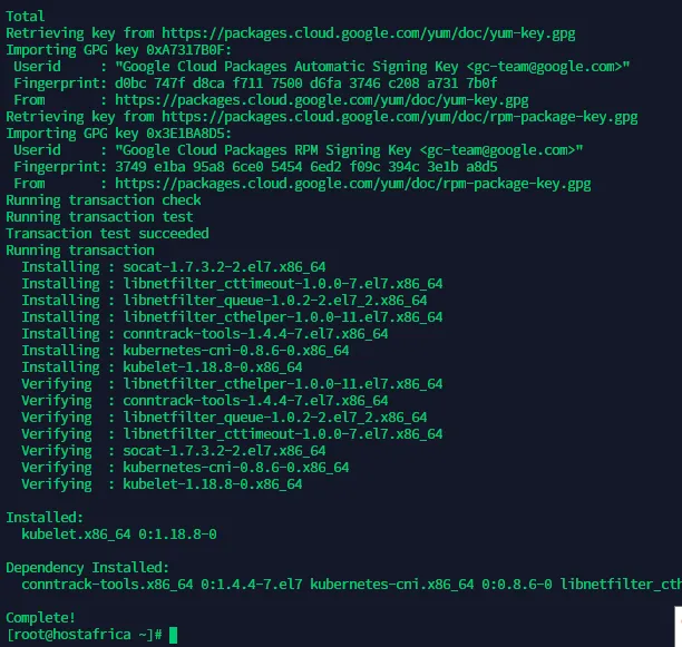 terminal output