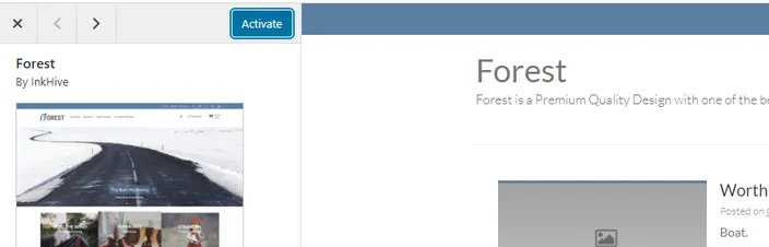 After the installation finishes in a few moments, the Activate button should appear on the left.