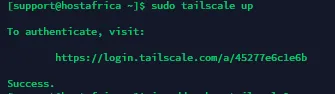 tailscale auth success terminal
