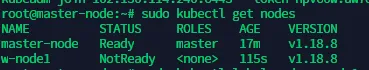 terminal output