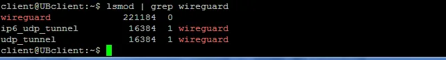 terminal output