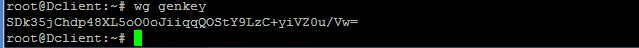 terminal output