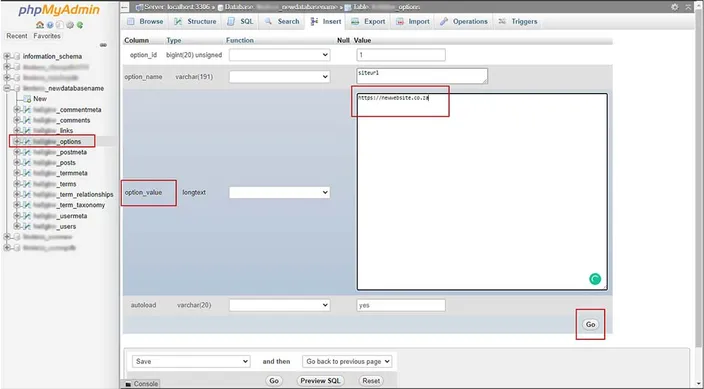 phpmyadmin edit wp options