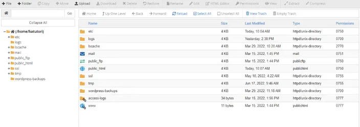 Navigating to File Manager in cPanel