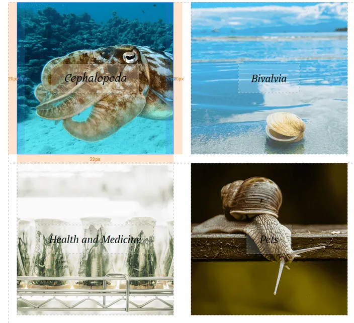 Opaque backgrounds over images for readability