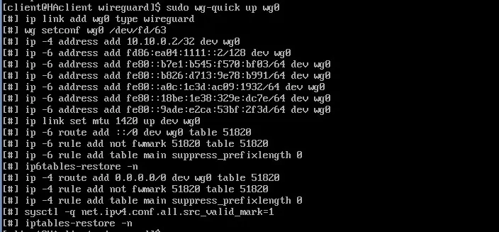 terminal output