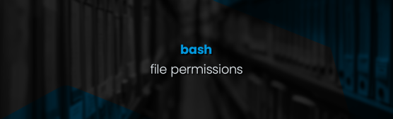 BASH - file permissions