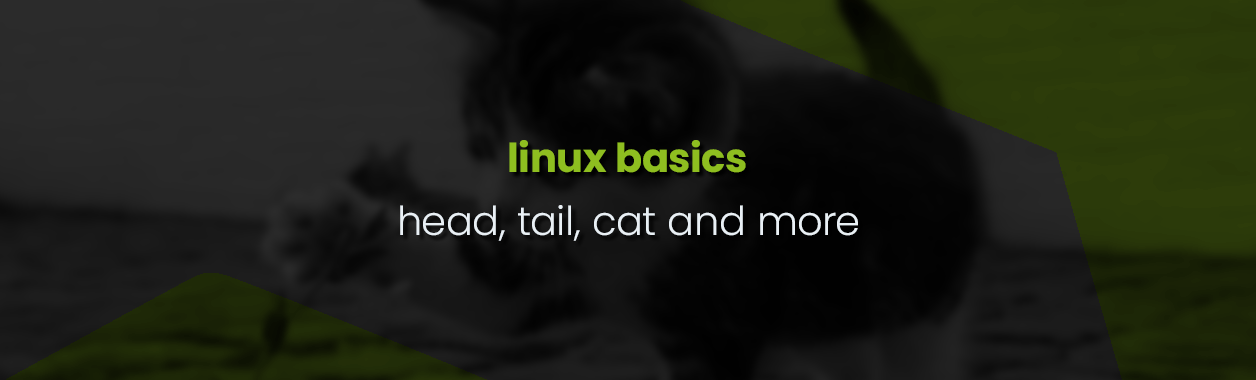 Linux Basics - head, tail, cat and more (or less)