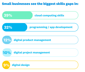 A graph from the Xero small businesses report showing skills gaps