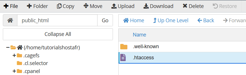 cPanel .htaccess file