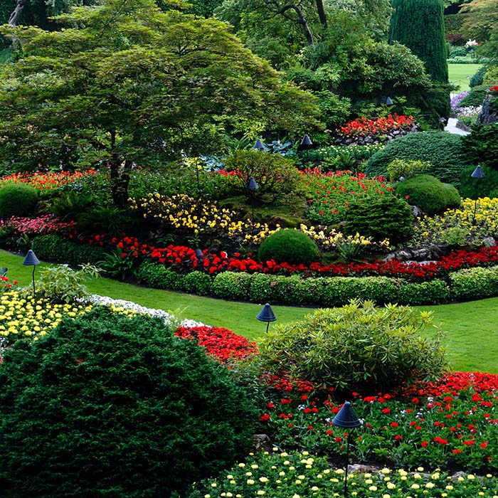 a garden filled with flower beds and shrubbery