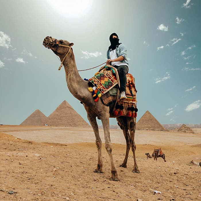 a person sitting on a camel with the pyramids behind them
