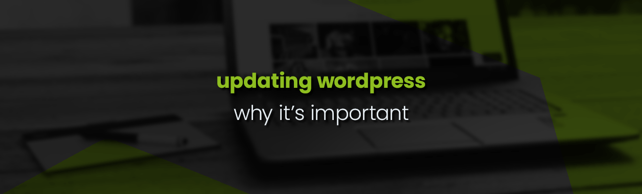 Updating WordPress why it's important