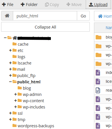 Inside File Manager accessing public_html folder