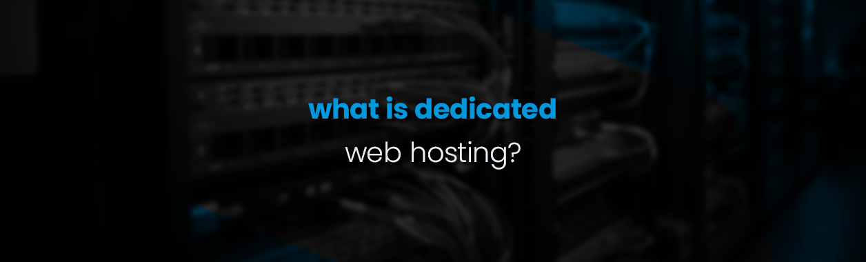 what is dedicated web hosting