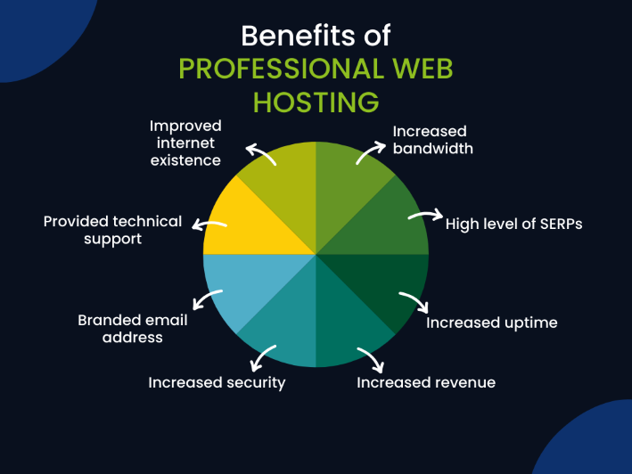 A pie chart showing the benefits of professional web hosting 